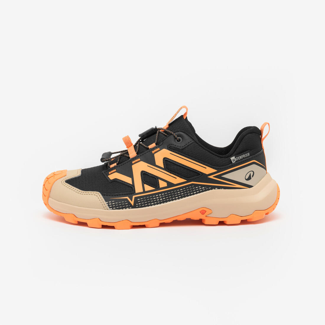 IMG_8913048_1