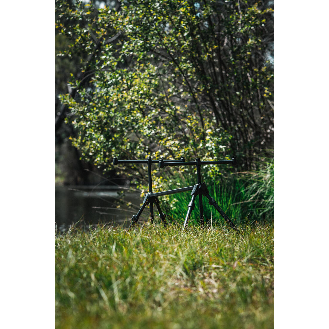 IMG_2056512