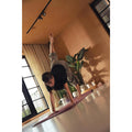 IMG_3029141